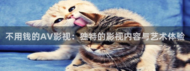 星海之外定档海报