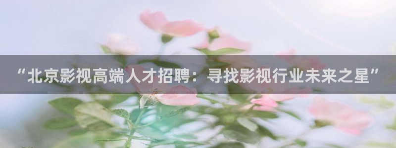 星海之外定档海报