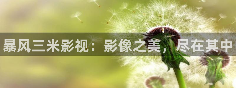 星海之外定档海报