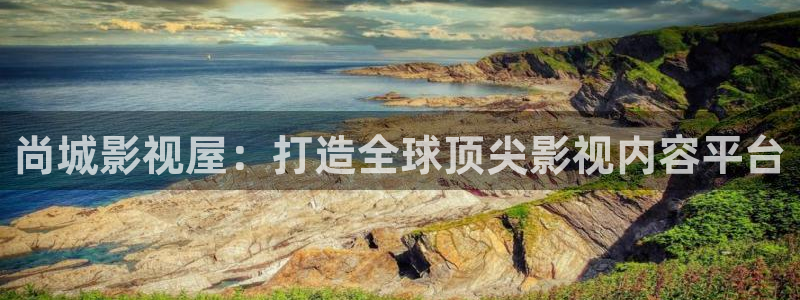 星海之外定档海报
