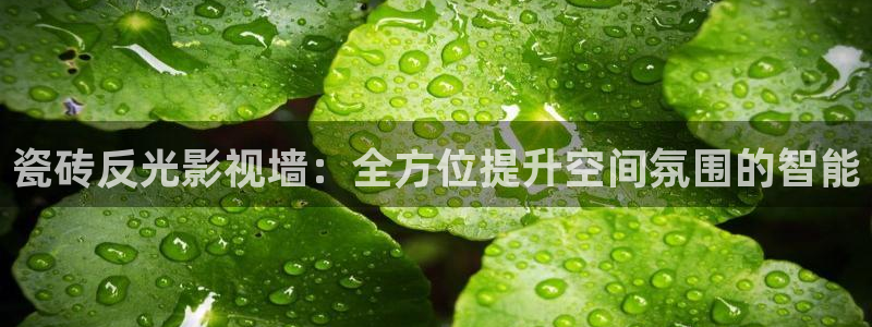 星海之外定档海报