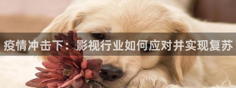 星海之外定档海报
