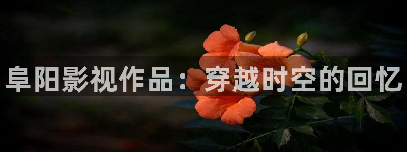 星海之外定档海报