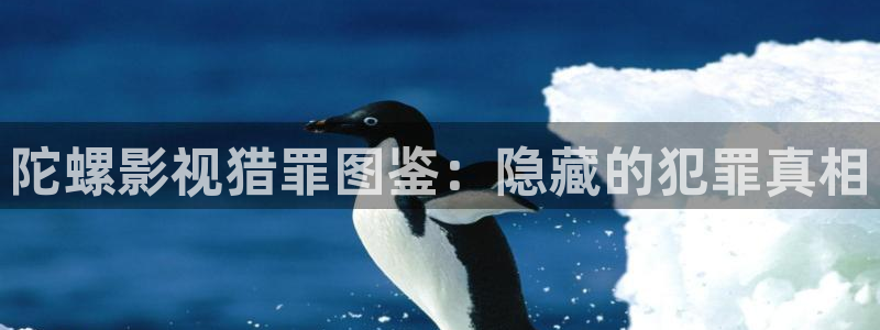 星海之外定档海报