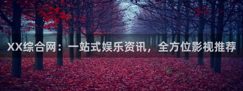 星海之外定档海报